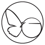 Dreams Genie Design Studio logo